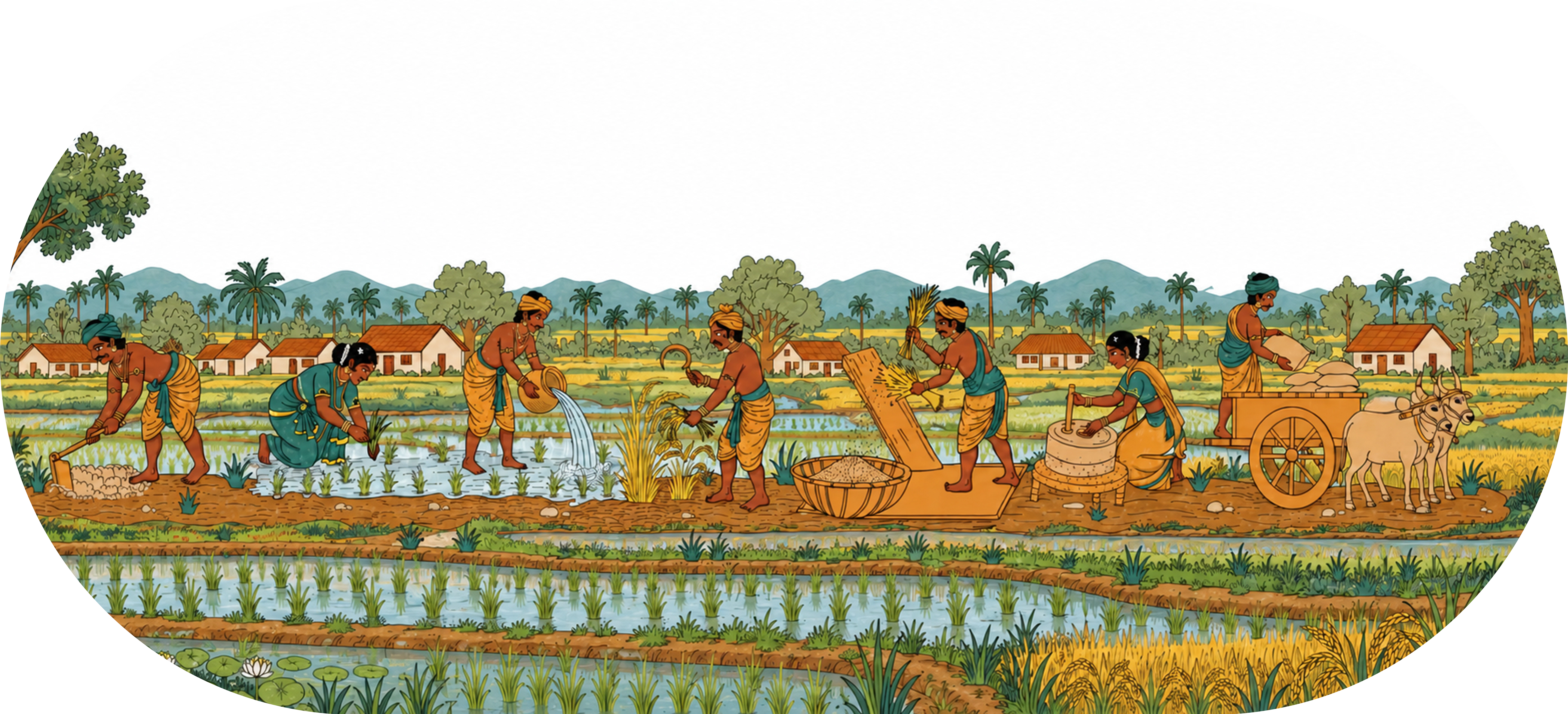 Beejam farmers and rice fields